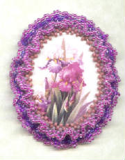 purpleiris.jpg